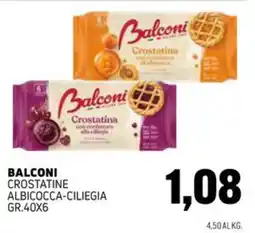Emporio Amato Balconi Crostatine Albicocca-Ciliegia offerta