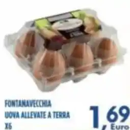 Orizzonte Supermercati Uova allevate a terra Fontanavecchia offerta