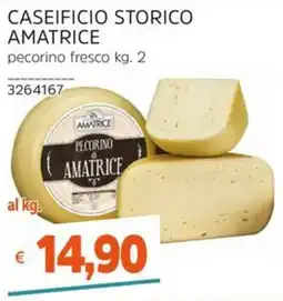 Stop&Shop Pecorino fresco Amatrice offerta
