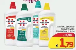 Deter Shop Amuchina detersivo pavimenti varie offerta