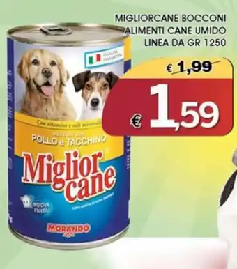 Miglior cane bocconi