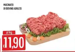 Sisa Macinato di bovino adulto offerta