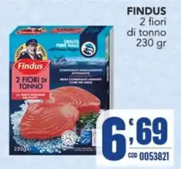 Gruppo di Palo Findus 2 fiori di tonno offerta