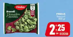 Gruppo di Palo Findus broccoli Primavera offerta