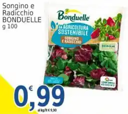 Market Ingross Songino e Radicchio Bonduelle offerta
