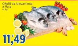 Market Ingross Orate da Allevamento a Mare offerta