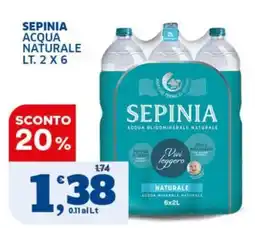 Il Punto Sigma Sepinia acqua naturale offerta