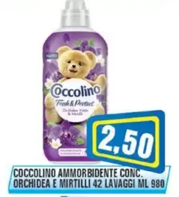 Punto Vigas Coccolino ammorbidente conc. orchidea e mirtilli offerta