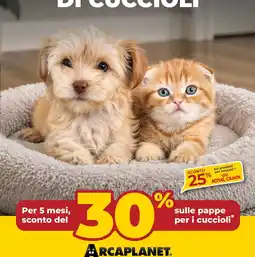 Arcaplanet pappe per i cuccioli offerta