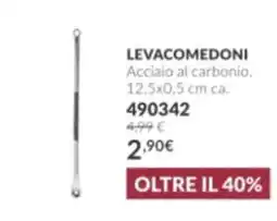 Avon Levacomedoni offerta