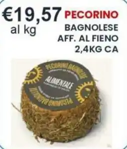 Caramico Pecorino Bagnolese offerta