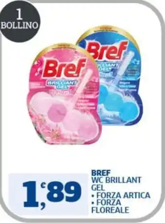 Bref WC Brillant Gel