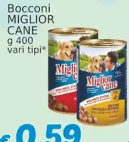 Market Ingross Bocconi Miglior Cane offerta