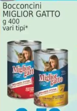 Market Ingross Bocconcini Miglior Gatto offerta