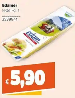 Stop&Shop Edamer offerta