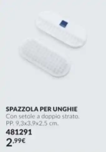 Spazzola per unghie