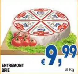 DEM Entremont Brie offerta