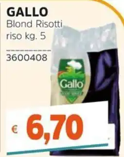 Stop&Shop Gallo Blond Risotti offerta