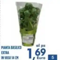 Orizzonte Supermercati Pianta basilico extra offerta