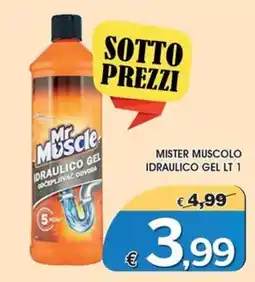 Deter Shop Mr Muscle idraulico gel offerta