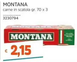 Stop&Shop carne in scatola Montana offerta