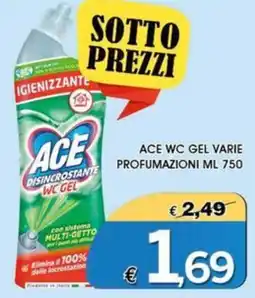 Deter Shop Ace disincrostante wc gel offerta