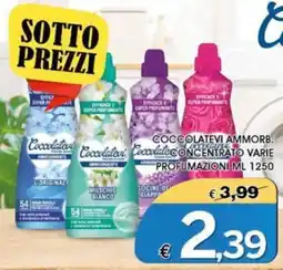 Deter Shop Coccolatevi ammorb. concentrato offerta