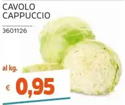 Stop&Shop Cavolo cappuccio offerta