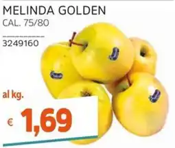 Stop&Shop Melinda Golden offerta