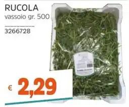 Stop&Shop Rucola offerta