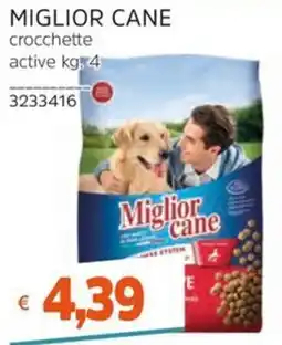 Stop&Shop Miglior cane crocchette active offerta