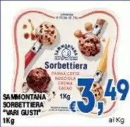 DEM Sammontana sorbettiera vari gusti offerta