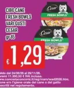 Sisa Cibo cane fresh bowls cesar offerta