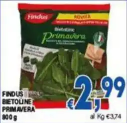 DEM Findus bietoline primavera offerta