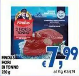 DEM Findus Fiori di Tonno offerta