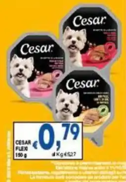 DEM Cesar Flexi offerta