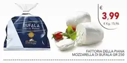 Diper Mozzarella di bufala offerta