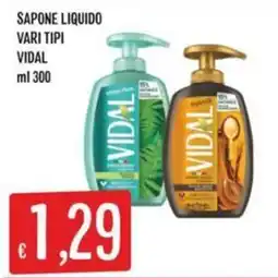 Sisa Sapone liquido Vidal offerta