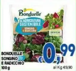 DEM Bonduelle songino e radicchio offerta