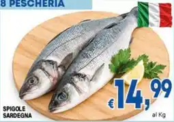 DEM Spigole Sardegna offerta