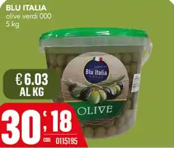 Gruppo di Palo Blu Italia olive verdi 000 offerta