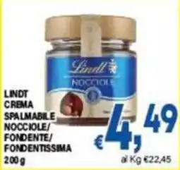 DEM Lindt crema spalmabile nocciole offerta