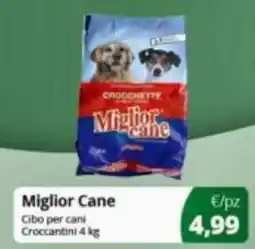 Prodet Miglior Cane Cibo per cani Croccantini offerta