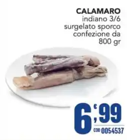 Gruppo di Palo Calamaro indiano offerta