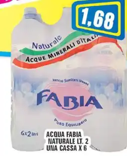 Punto Vigas Acqua Fabia Naturale offerta