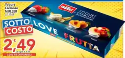 Sidis Yogurt cremoso Müller offerta
