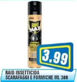 Punto Vigas Raid insetticida scarafaggi e formiche offerta