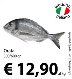 Cadoro Orata offerta