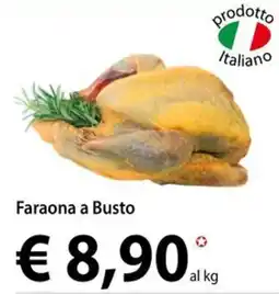 Cadoro Faraona a Busto offerta