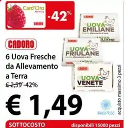 Cadoro 6 Uova Fresche da Allevamento a Terra offerta